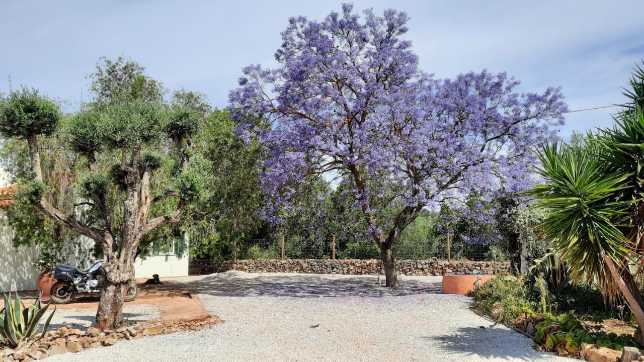 Rural Peace In The Algarve - Private Room With Kitchenette And Bathroom Aldeia dos Matos Exteriör bild