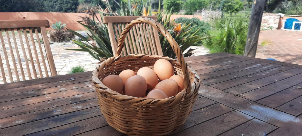 Rural Peace In The Algarve - Private Room With Kitchenette And Bathroom Aldeia dos Matos Exteriör bild